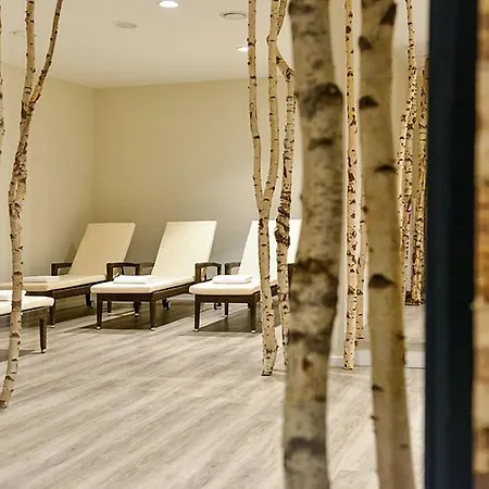 Hotel Dorint Am Nuerburgring Hocheifel 4*