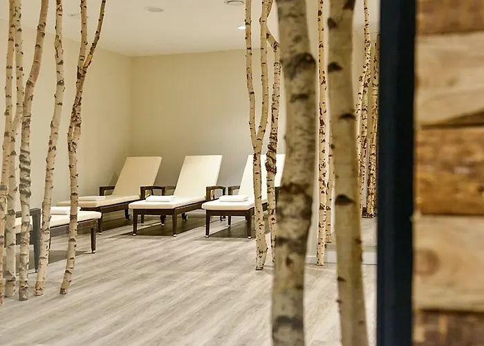 Hotel Dorint Am Nuerburgring Hocheifel 4*